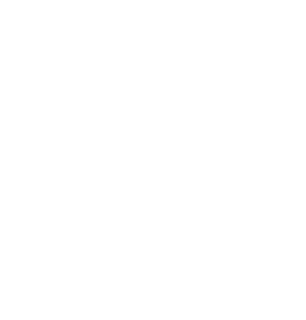 Gossaigaon College